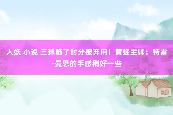 人妖 小说 三球临了时分被弃用！黄蜂主帅：特雷-曼恩的手感稍好一些