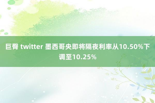 巨臀 twitter 墨西哥央即将隔夜利率从10.50%下调至10.25%