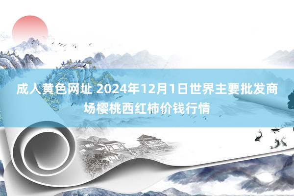 成人黄色网址 2024年12月1日世界主要批发商场樱桃西红柿价钱行情