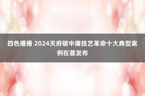 四色播播 2024天府碳中庸技艺革命十大典型案例在蓉发布