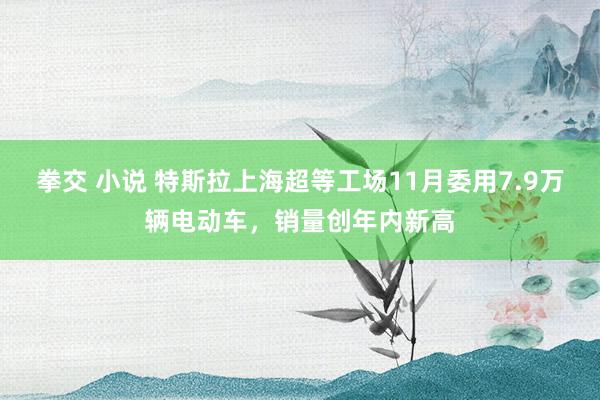 拳交 小说 特斯拉上海超等工场11月委用7.9万辆电动车，销量创年内新高