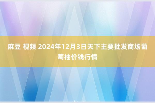 麻豆 视频 2024年12月3日天下主要批发商场葡萄柚价钱行情