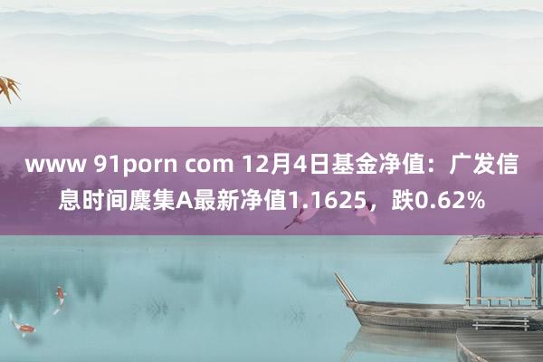 www 91porn com 12月4日基金净值：广发信息时间麇集A最新净值1.1625，跌0.62%