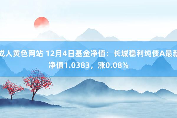 成人黄色网站 12月4日基金净值：长城稳利纯债A最新净值1.0383，涨0.08%