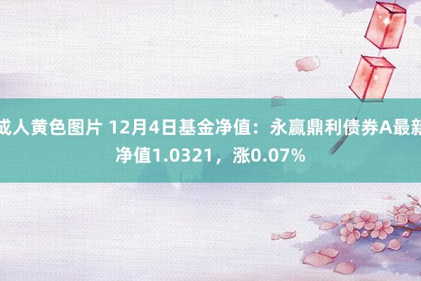 成人黄色图片 12月4日基金净值：永赢鼎利债券A最新净值1.0321，涨0.07%