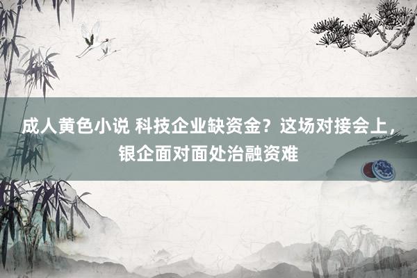 成人黄色小说 科技企业缺资金？这场对接会上，银企面对面处治融资难