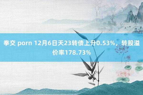 拳交 porn 12月6日天23转债上升0.53%，转股溢价率178.73%