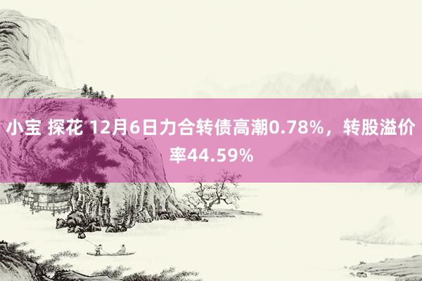 小宝 探花 12月6日力合转债高潮0.78%，转股溢价率44.59%