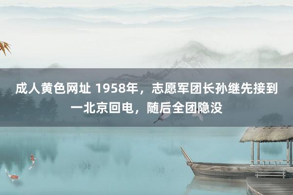 成人黄色网址 1958年，志愿军团长孙继先接到一北京回电，随后全团隐没