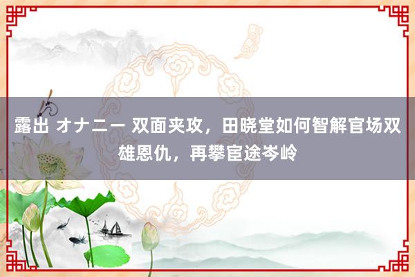 露出 オナニー 双面夹攻，田晓堂如何智解官场双雄恩仇，再攀宦途岑岭