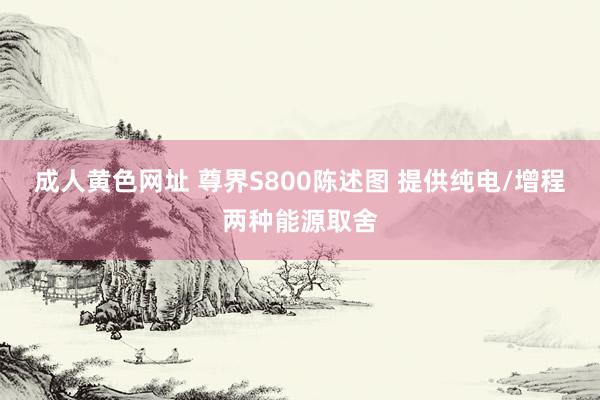 成人黄色网址 尊界S800陈述图 提供纯电/增程两种能源取舍