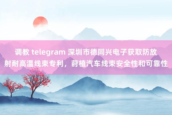 调教 telegram 深圳市德同兴电子获取防放射耐高温线束专利，莳植汽车线束安全性和可靠性