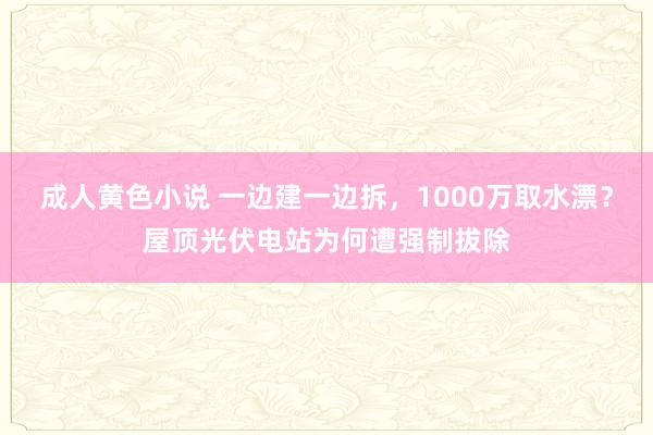 成人黄色小说 一边建一边拆，1000万取水漂？屋顶光伏电站为何遭强制拔除