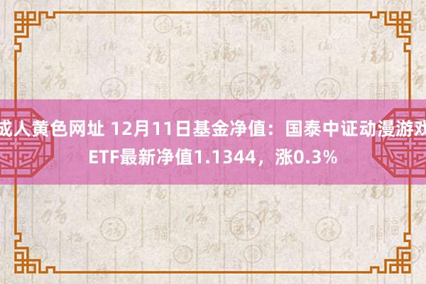 成人黄色网址 12月11日基金净值：国泰中证动漫游戏ETF最新净值1.1344，涨0.3%