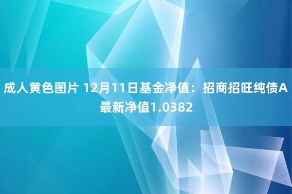 成人黄色图片 12月11日基金净值：招商招旺纯债A最新净值1.0382