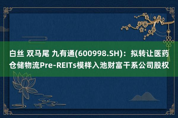 白丝 双马尾 九有通(600998.SH)：拟转让医药仓储物流Pre-REITs模样入池财富干系公司股权