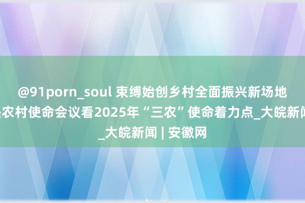 @91porn_soul 束缚始创乡村全面振兴新场地——从中央农村使命会议看2025年“三农”使命着力点_大皖新闻 | 安徽网