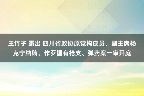 王竹子 露出 四川省政协原党构成员、副主席杨克宁纳贿、作歹握有枪支、弹药案一审开庭