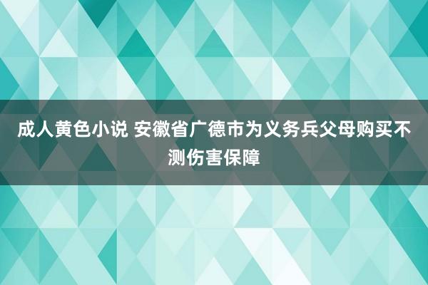 成人黄色小说 安徽省广德市为义务兵父母购买不测伤害保障