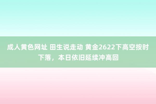 成人黄色网址 田生说走动 黄金2622下高空按时下落，本日依旧延续冲高回