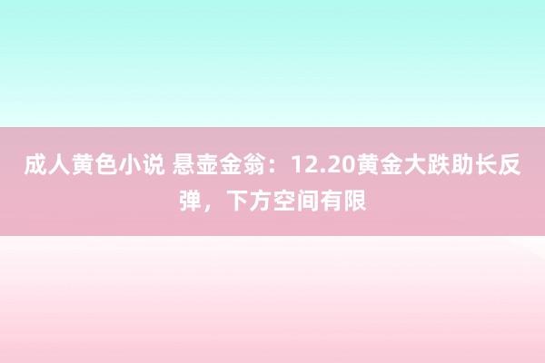 成人黄色小说 悬壶金翁：12.20黄金大跌助长反弹，下方空间有限