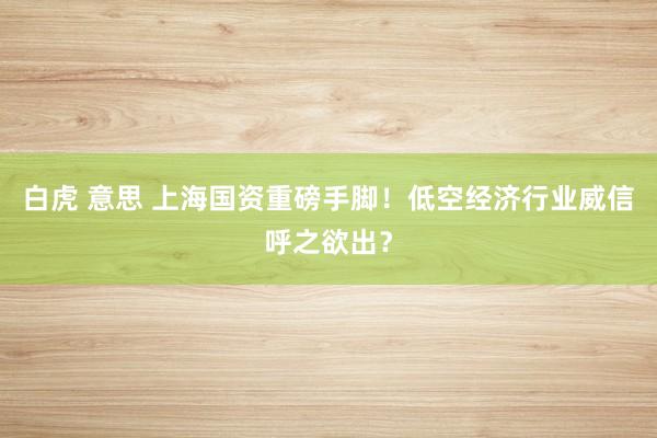 白虎 意思 上海国资重磅手脚！低空经济行业威信呼之欲出？