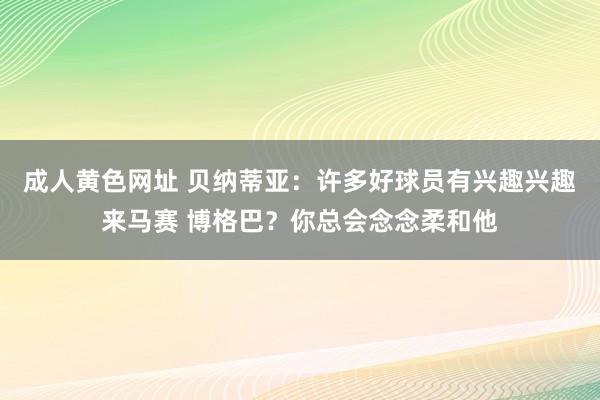 成人黄色网址 贝纳蒂亚：许多好球员有兴趣兴趣来马赛 博格巴？你总会念念柔和他