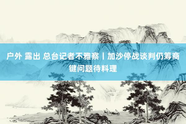 户外 露出 总台记者不雅察丨加沙停战谈判仍筹商键问题待料理