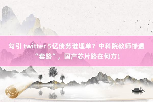 勾引 twitter 5亿债务谁埋单？中科院教师惨遭“套路”，国产芯片路在何方！