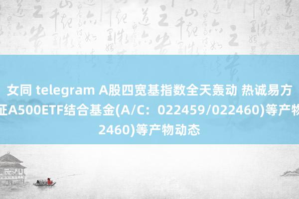 女同 telegram A股四宽基指数全天轰动 热诚易方达中证A500ETF结合基金(A/C：022459/022460)等产物动态