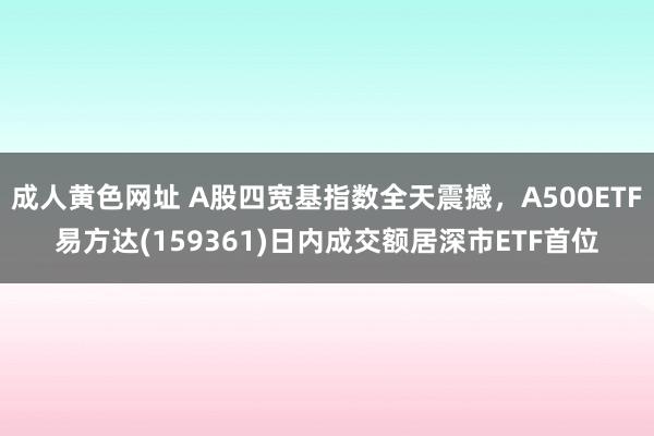 成人黄色网址 A股四宽基指数全天震撼，A500ETF易方达(159361)日内成交额居深市ETF首位