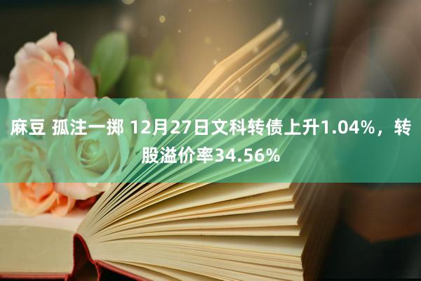 麻豆 孤注一掷 12月27日文科转债上升1.04%，转股溢价率34.56%