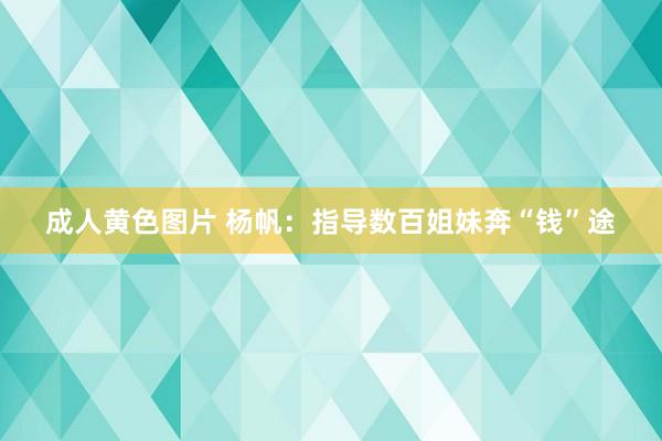 成人黄色图片 杨帆：指导数百姐妹奔“钱”途