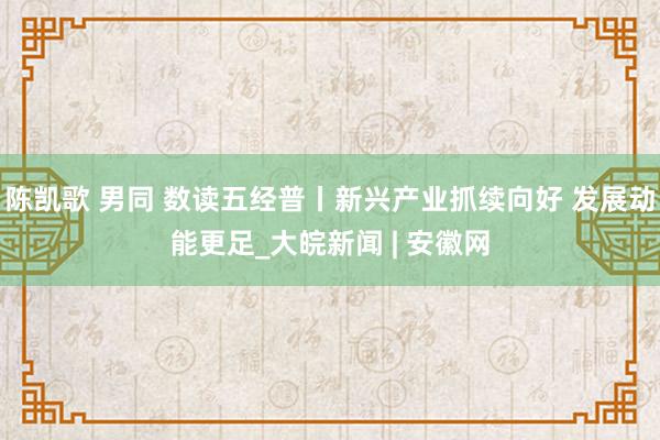 陈凯歌 男同 数读五经普丨新兴产业抓续向好 发展动能更足_大皖新闻 | 安徽网