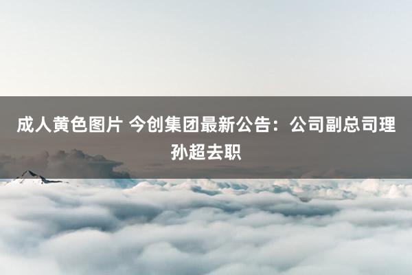 成人黄色图片 今创集团最新公告：公司副总司理孙超去职