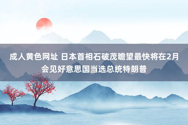 成人黄色网址 日本首相石破茂瞻望最快将在2月会见好意思国当选总统特朗普