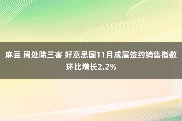 麻豆 周处除三害 好意思国11月成屋签约销售指数环比增长2.2%