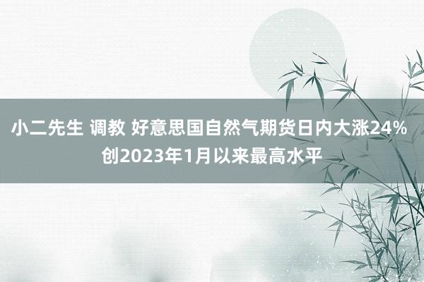 小二先生 调教 好意思国自然气期货日内大涨24% 创2023年1月以来最高水平