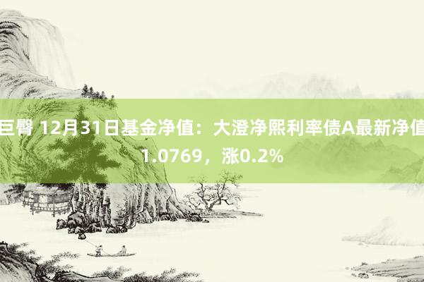 巨臀 12月31日基金净值：大澄净熙利率债A最新净值1.0769，涨0.2%