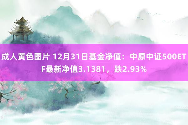 成人黄色图片 12月31日基金净值：中原中证500ETF最新净值3.1381，跌2.93%