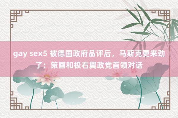 gay sex5 被德国政府品评后，马斯克更来劲了：策画和极右翼政党首领对话