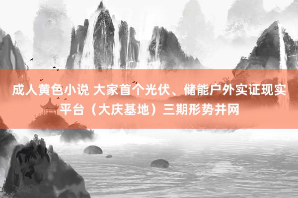 成人黄色小说 大家首个光伏、储能户外实证现实平台（大庆基地）三期形势并网