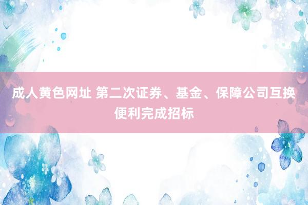 成人黄色网址 第二次证券、基金、保障公司互换便利完成招标