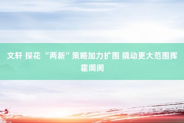 文轩 探花 “两新”策略加力扩围 撬动更大范围挥霍阛阓