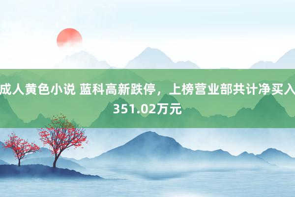 成人黄色小说 蓝科高新跌停，上榜营业部共计净买入351.02万元