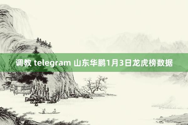 调教 telegram 山东华鹏1月3日龙虎榜数据