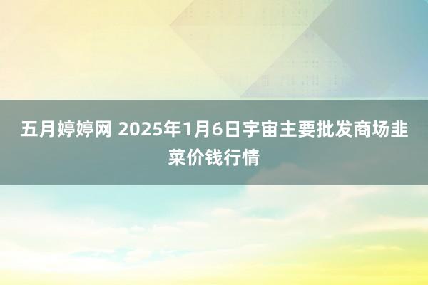 五月婷婷网 2025年1月6日宇宙主要批发商场韭菜价钱行情