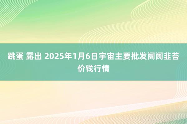 跳蛋 露出 2025年1月6日宇宙主要批发阛阓韭苔价钱行情