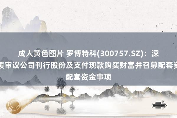 成人黄色图片 罗博特科(300757.SZ)：深交所暂缓审议公司刊行股份及支付现款购买财富并召募配套资金事项