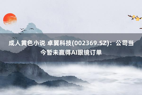 成人黄色小说 卓翼科技(002369.SZ)：公司当今暂未赢得AI眼镜订单